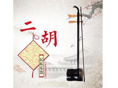 招聘连云港二胡家教老师